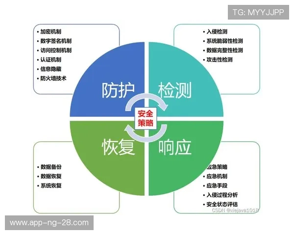杭州排球队的快速进攻与防守策略分析探讨